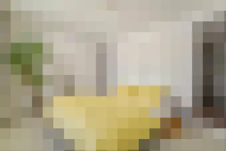 Van Noordtkade 30 E Amsterdam thumbnail 19