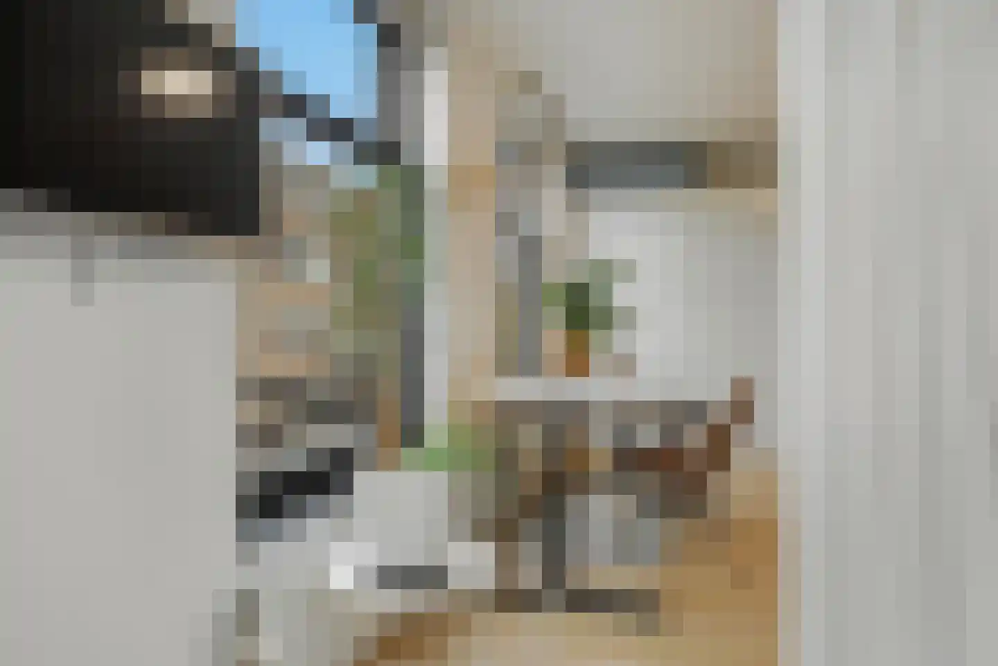 Van Noordtstraat 9 L Amsterdam thumbnail 15