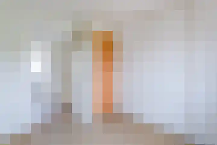 Van Noortstraat 11 Nijkerkerveen thumbnail 17