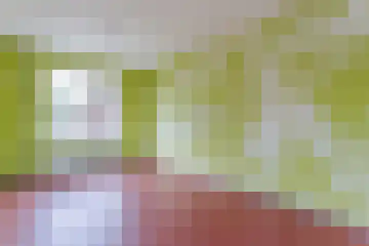 Van Noortstraat 11 Nijkerkerveen thumbnail 6
