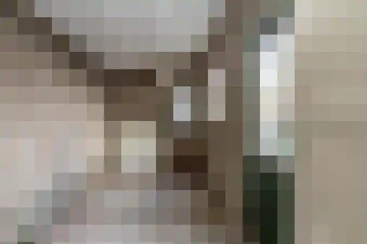 van Noortstraat 14 Hoogezand thumbnail 24