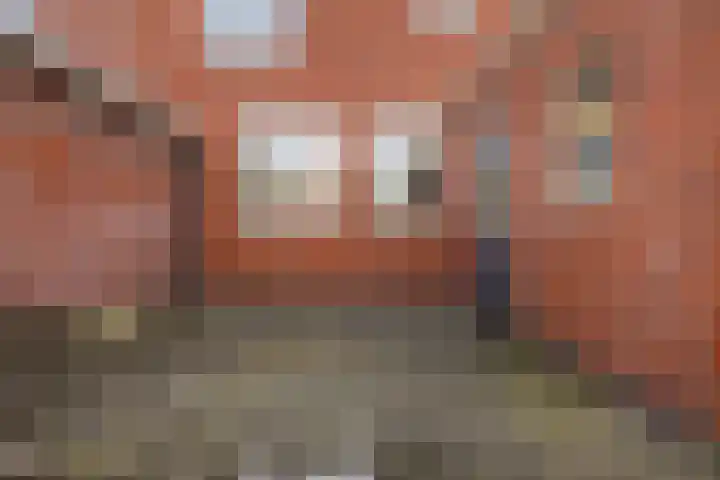 van Noortstraat 14 Hoogezand thumbnail 31