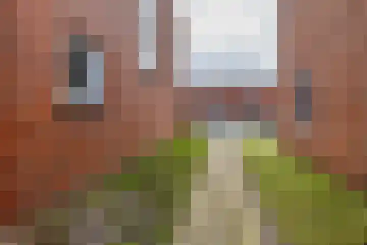 van Noortstraat 14 Hoogezand thumbnail 34