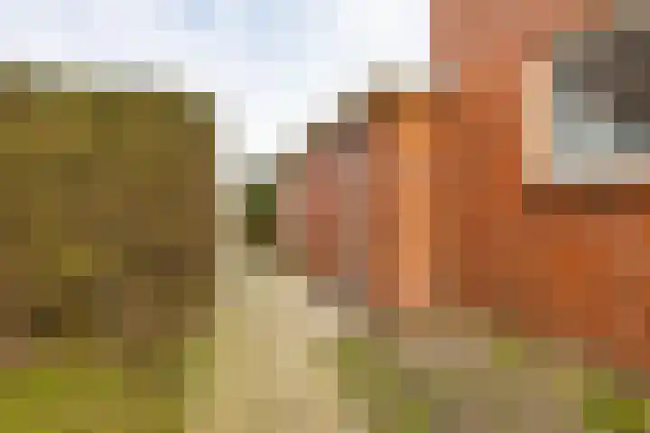 van Noortstraat 14 Hoogezand thumbnail 35