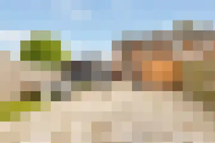 Van Noortstraat 28 Nijkerkerveen thumbnail 4