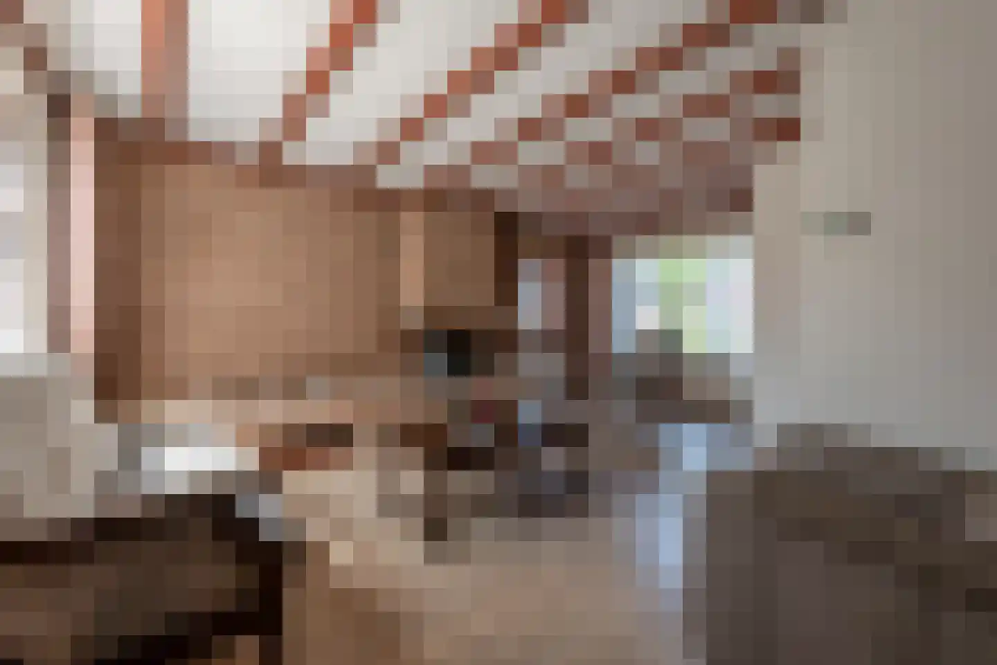 Van Noortstraat 53 Nijkerkerveen thumbnail 4