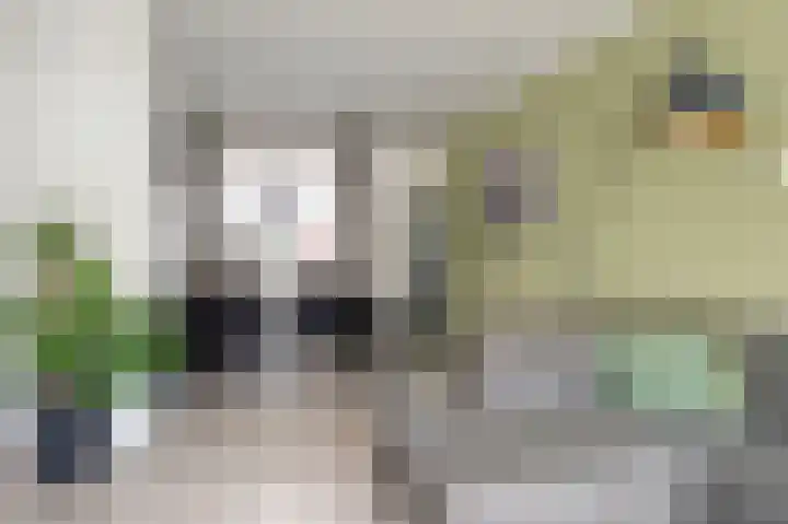 van Noortstraat 8 Hoogezand thumbnail 16