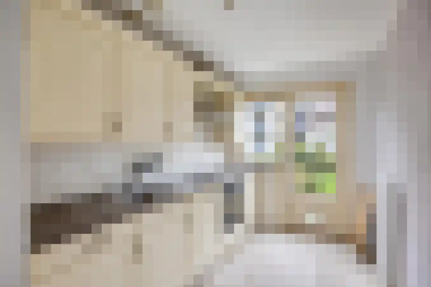 Van Noortwijckstraat 278 Rotterdam thumbnail 4