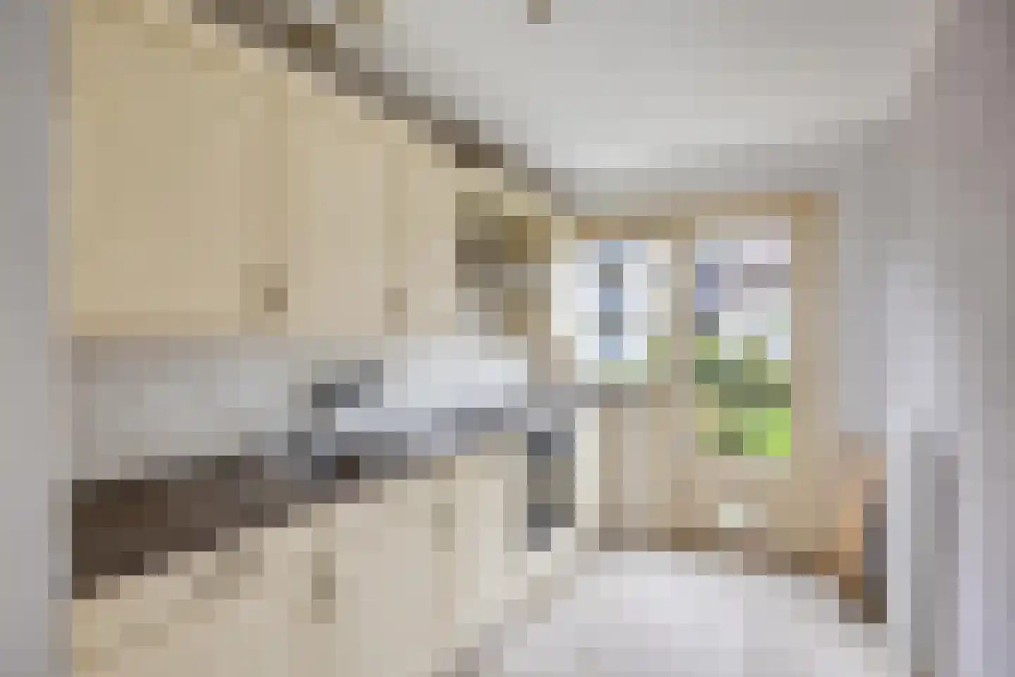 Van Noortwijckstraat 278 Rotterdam thumbnail 4