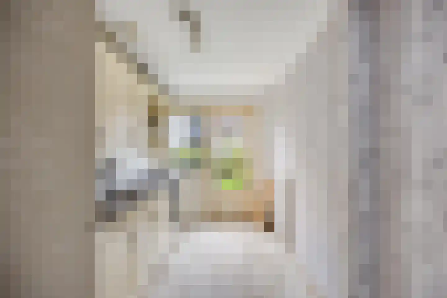 Van Noortwijckstraat 278 Rotterdam thumbnail 8