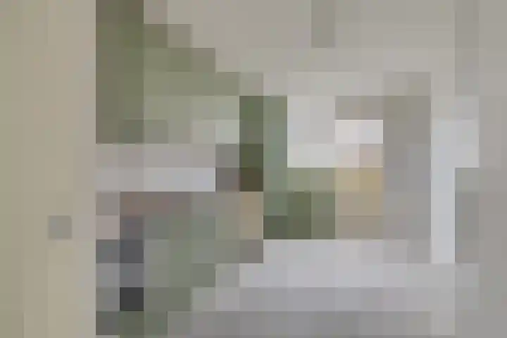 Van Noortwijckstraat 304 Rotterdam thumbnail 13