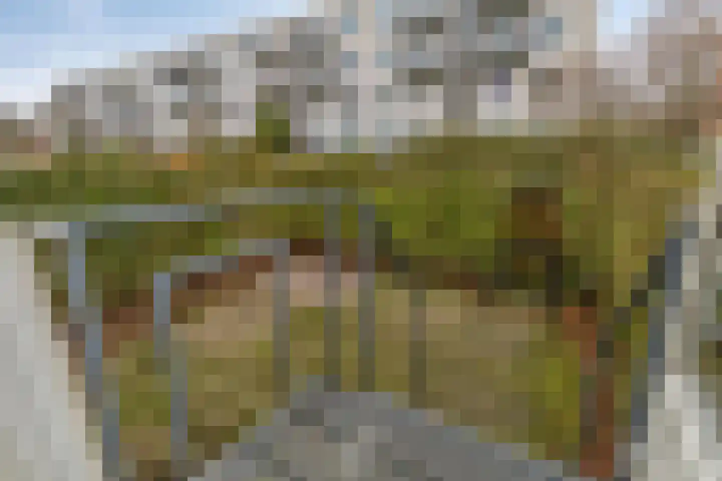Van Noortwijckstraat 304 Rotterdam thumbnail 23