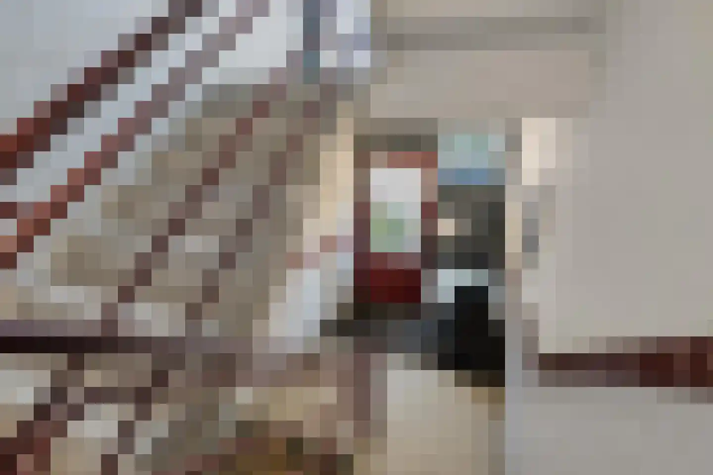 Van Noortwijckstraat 304 Rotterdam thumbnail 5