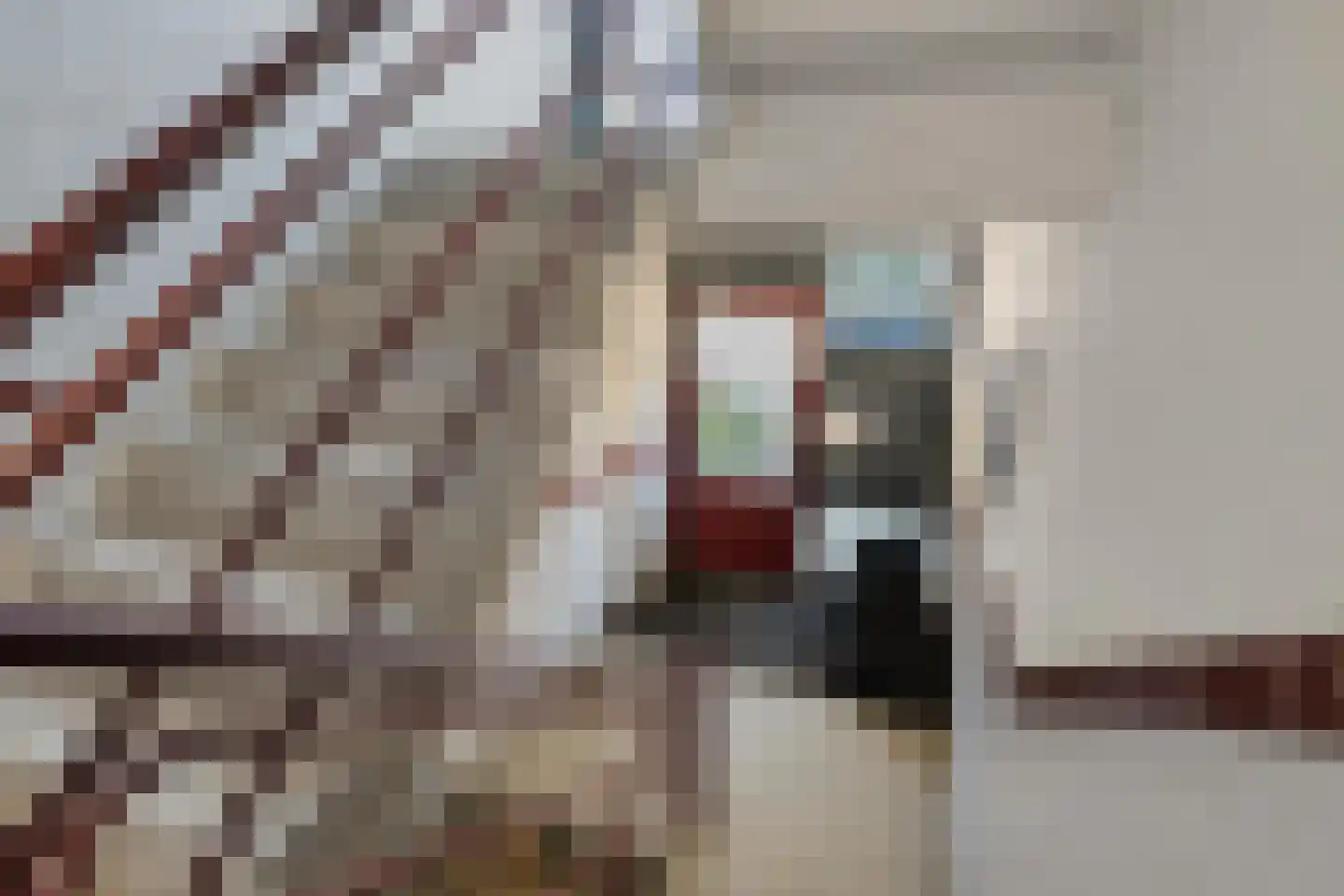 Van Noortwijckstraat 304 Rotterdam thumbnail 5