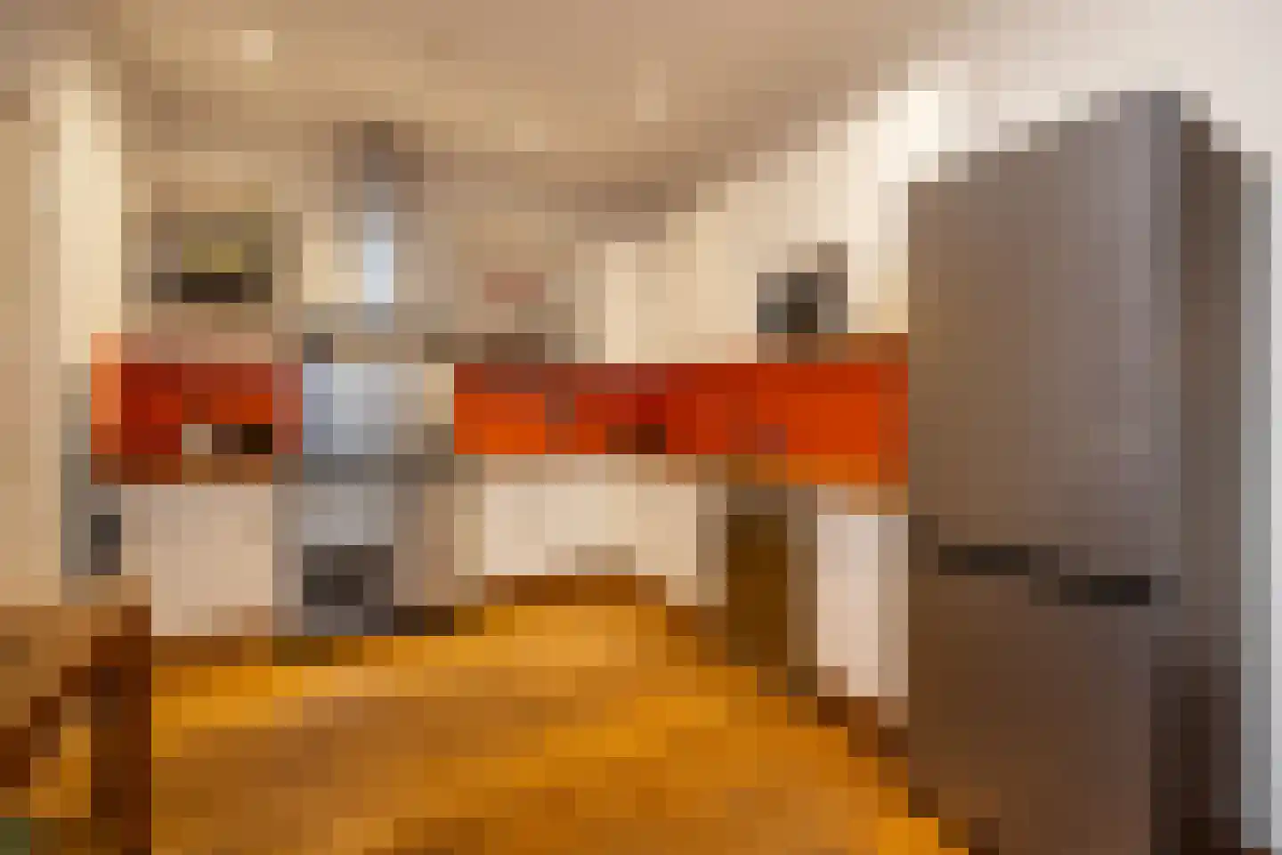 van Noremborghstraat 117 's-Hertogenbosch thumbnail 12