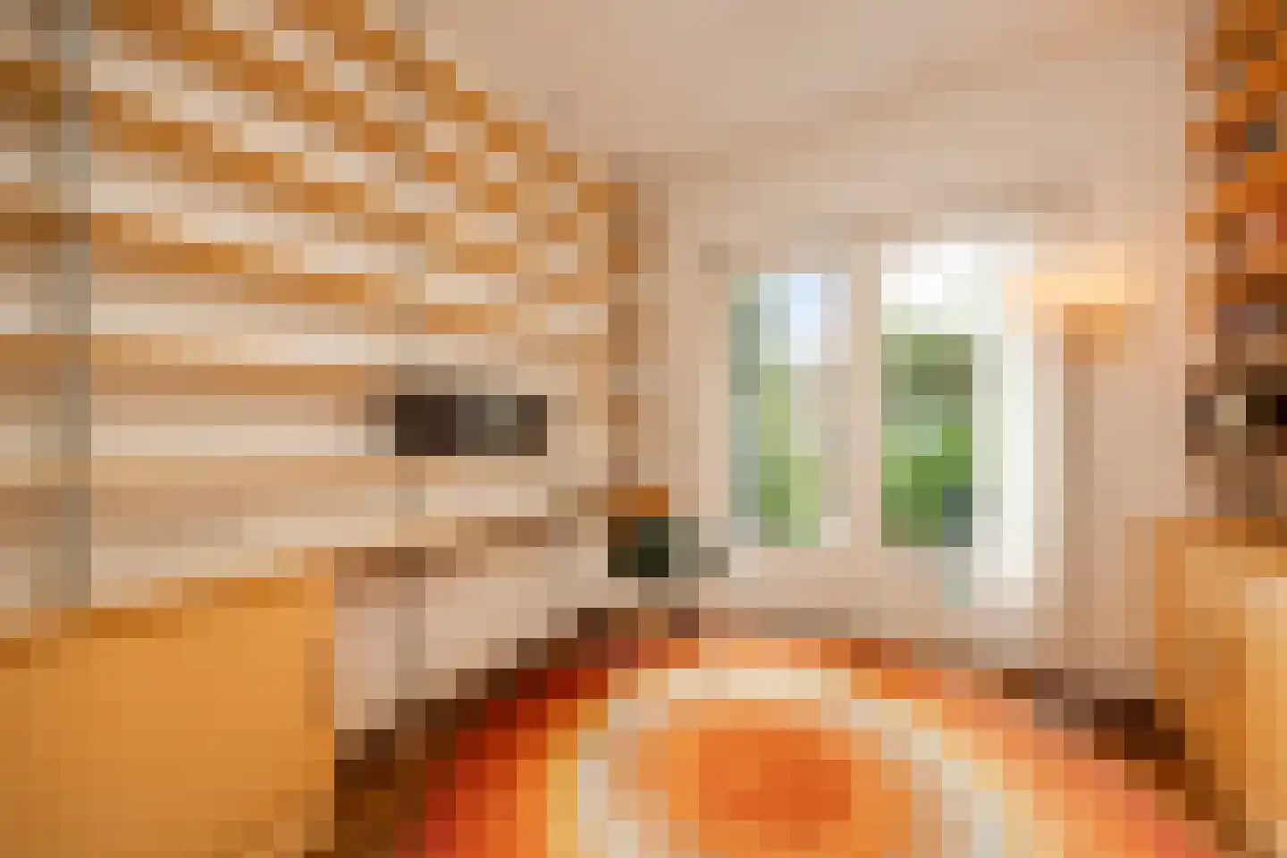 van Noremborghstraat 117 's-Hertogenbosch thumbnail 14
