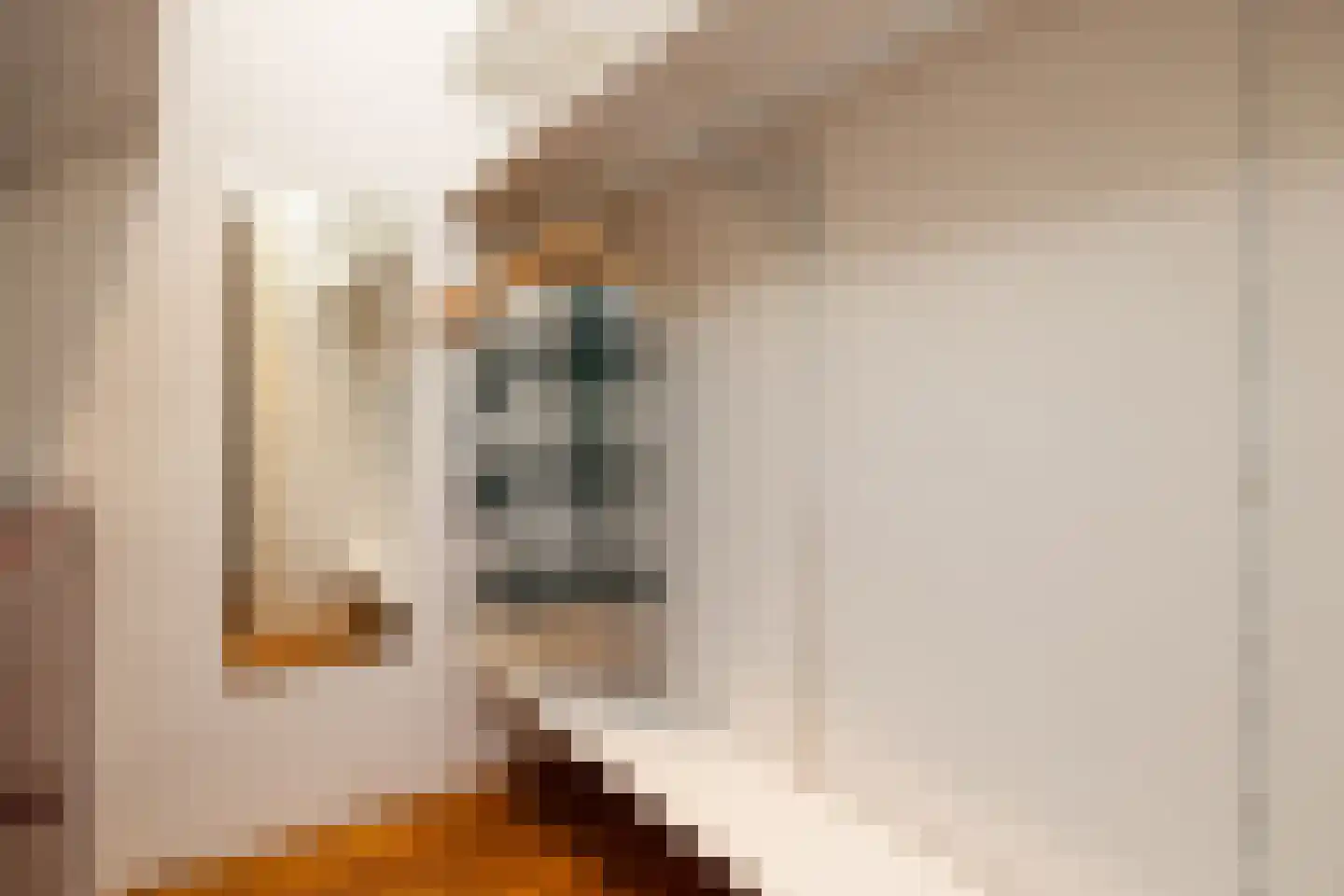 van Noremborghstraat 117 's-Hertogenbosch thumbnail 19