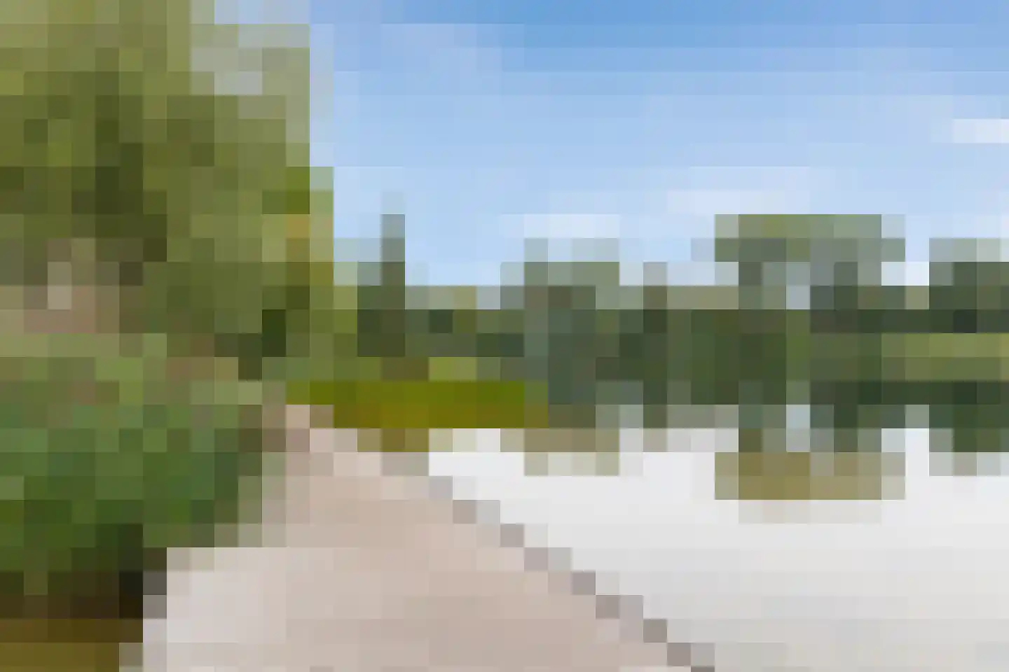 van Noremborghstraat 117 's-Hertogenbosch thumbnail 36