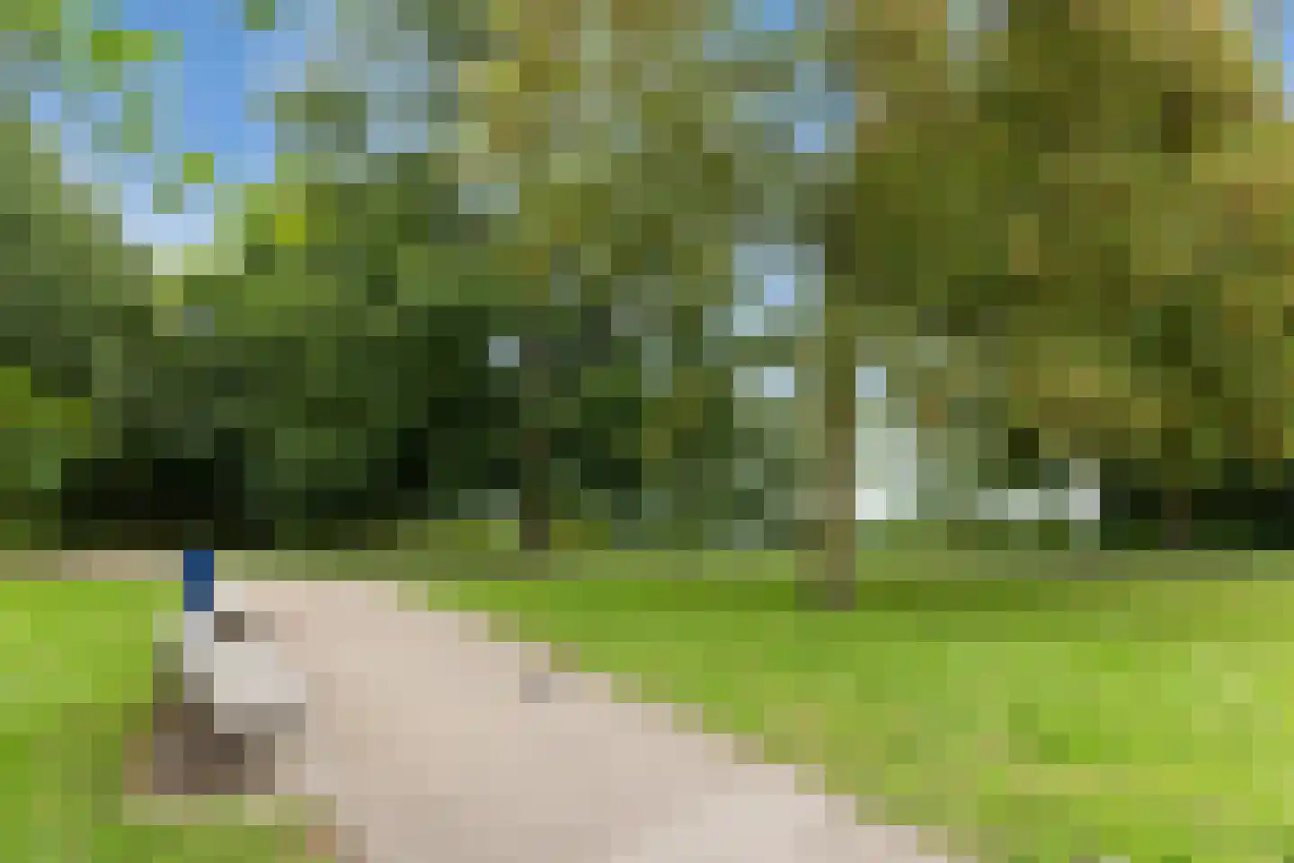 van Noremborghstraat 117 's-Hertogenbosch thumbnail 37