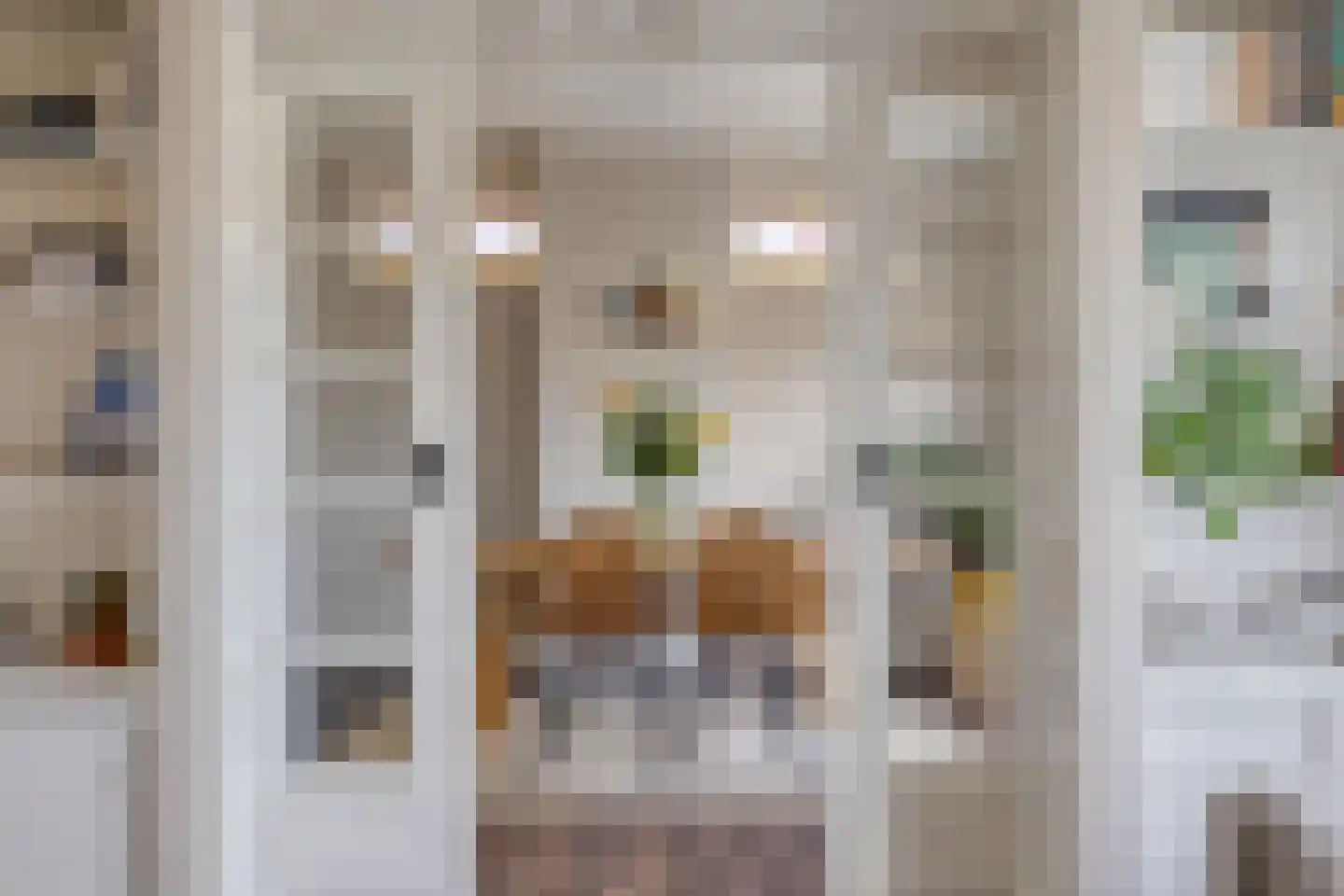 van Noremborghstraat 119 A 's-Hertogenbosch thumbnail 13