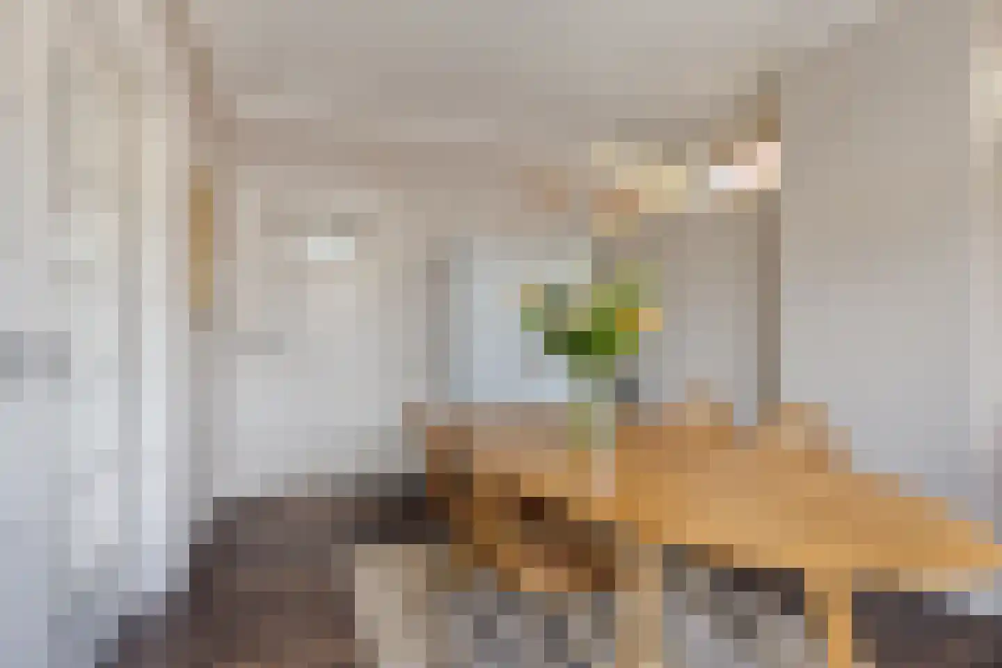 van Noremborghstraat 119 A 's-Hertogenbosch thumbnail 15