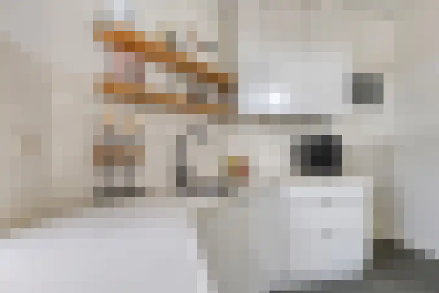van Noremborghstraat 119 A 's-Hertogenbosch thumbnail 21