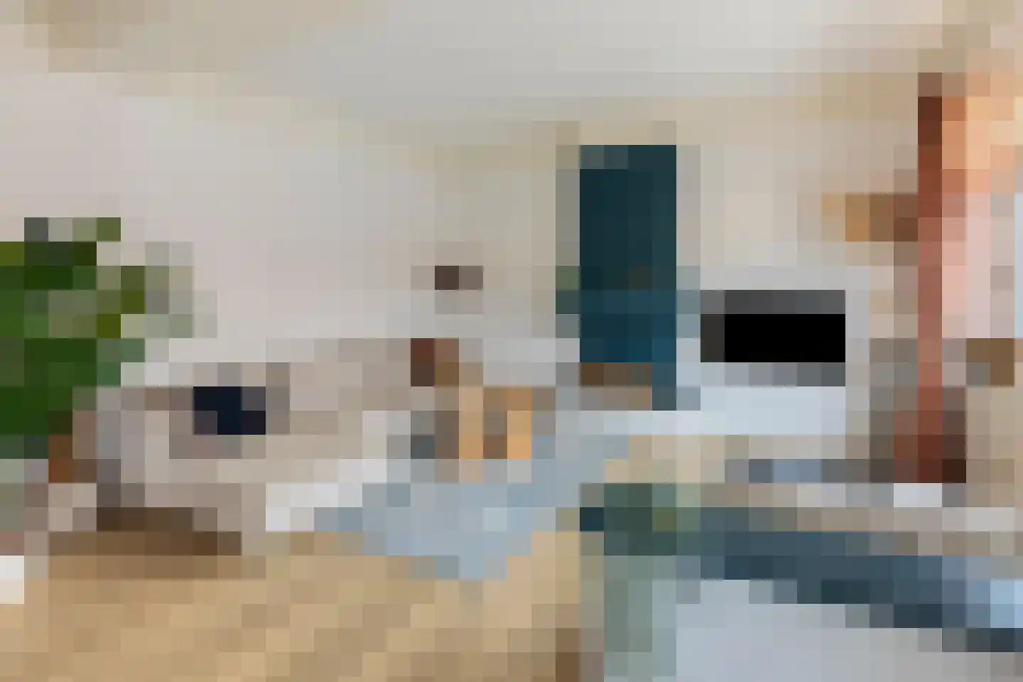 van Noremborghstraat 119 's-Hertogenbosch thumbnail 8