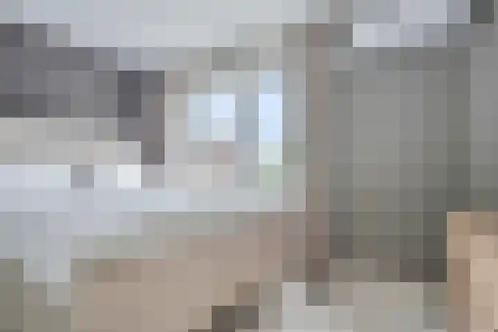 van Noremborghstraat 16 's-Hertogenbosch thumbnail 26