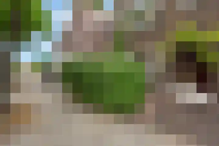 van Noremborghstraat 16 's-Hertogenbosch thumbnail 39