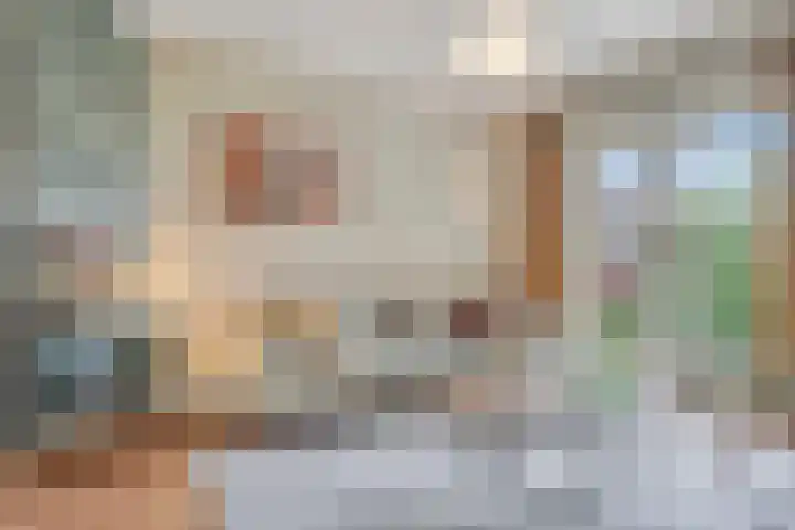 van Noremborghstraat 16 's-Hertogenbosch thumbnail 4