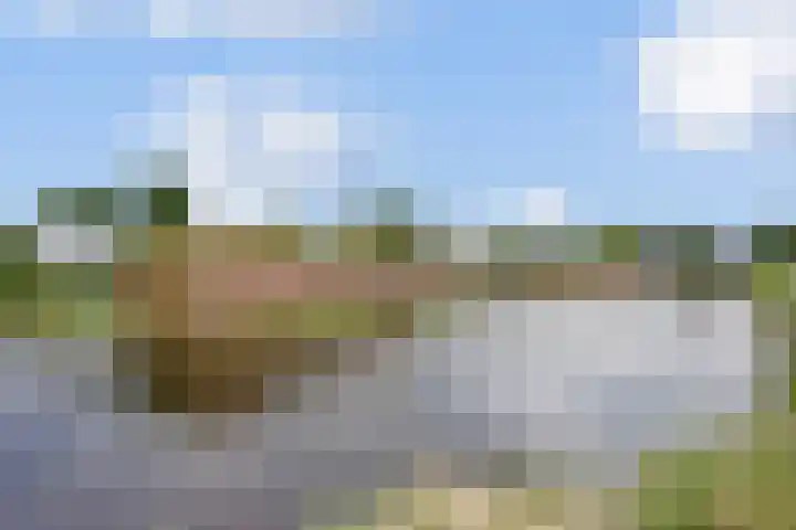 van Noremborghstraat 16 's-Hertogenbosch thumbnail 42