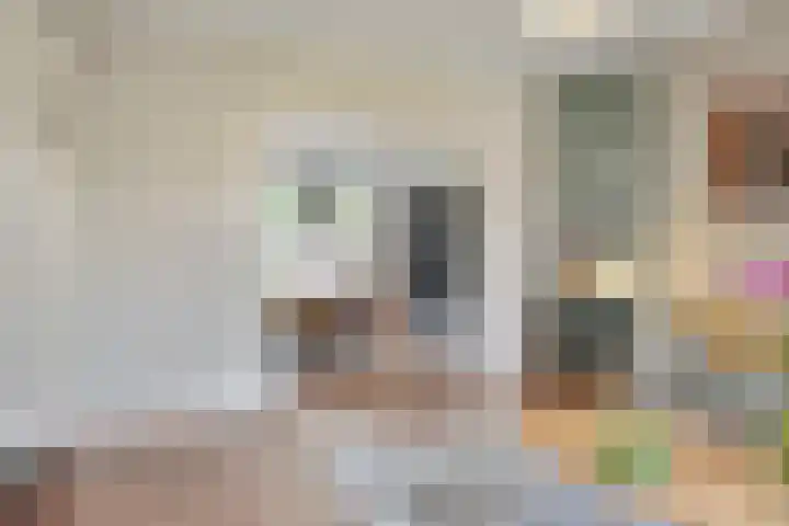 van Noremborghstraat 16 's-Hertogenbosch thumbnail 5