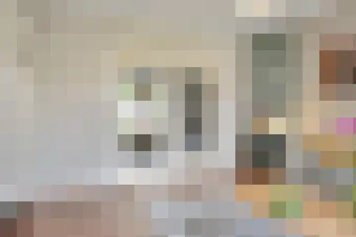 van Noremborghstraat 16 's-Hertogenbosch thumbnail 6