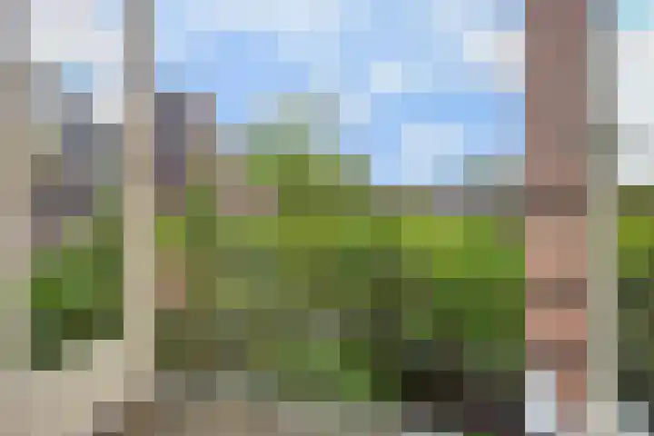 van Noremborghstraat 16 's-Hertogenbosch thumbnail 9