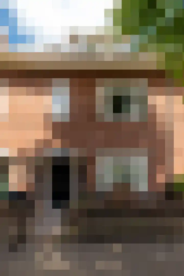 van Noremborghstraat 30 's-Hertogenbosch thumbnail 29