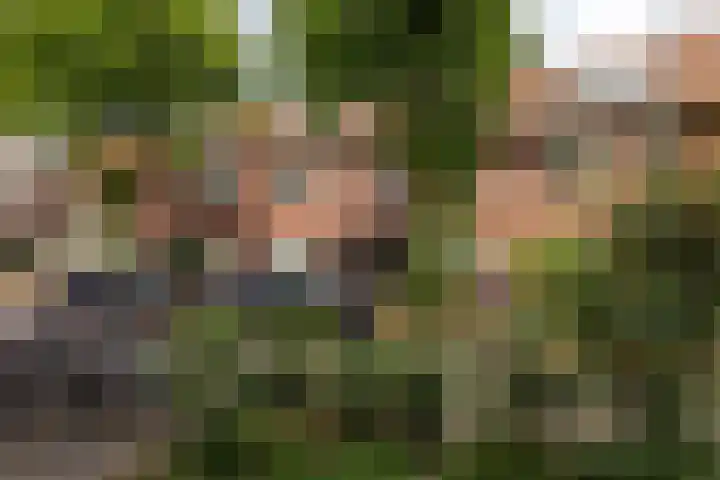 van Noremborghstraat 30 's-Hertogenbosch thumbnail 31