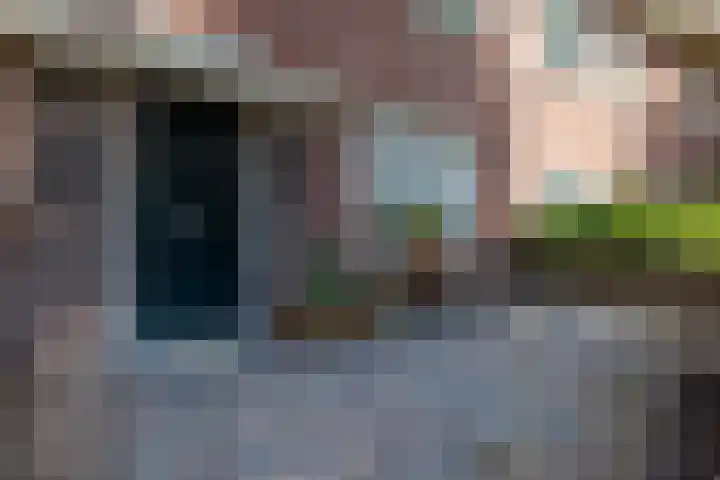 van Noremborghstraat 30 's-Hertogenbosch thumbnail 5
