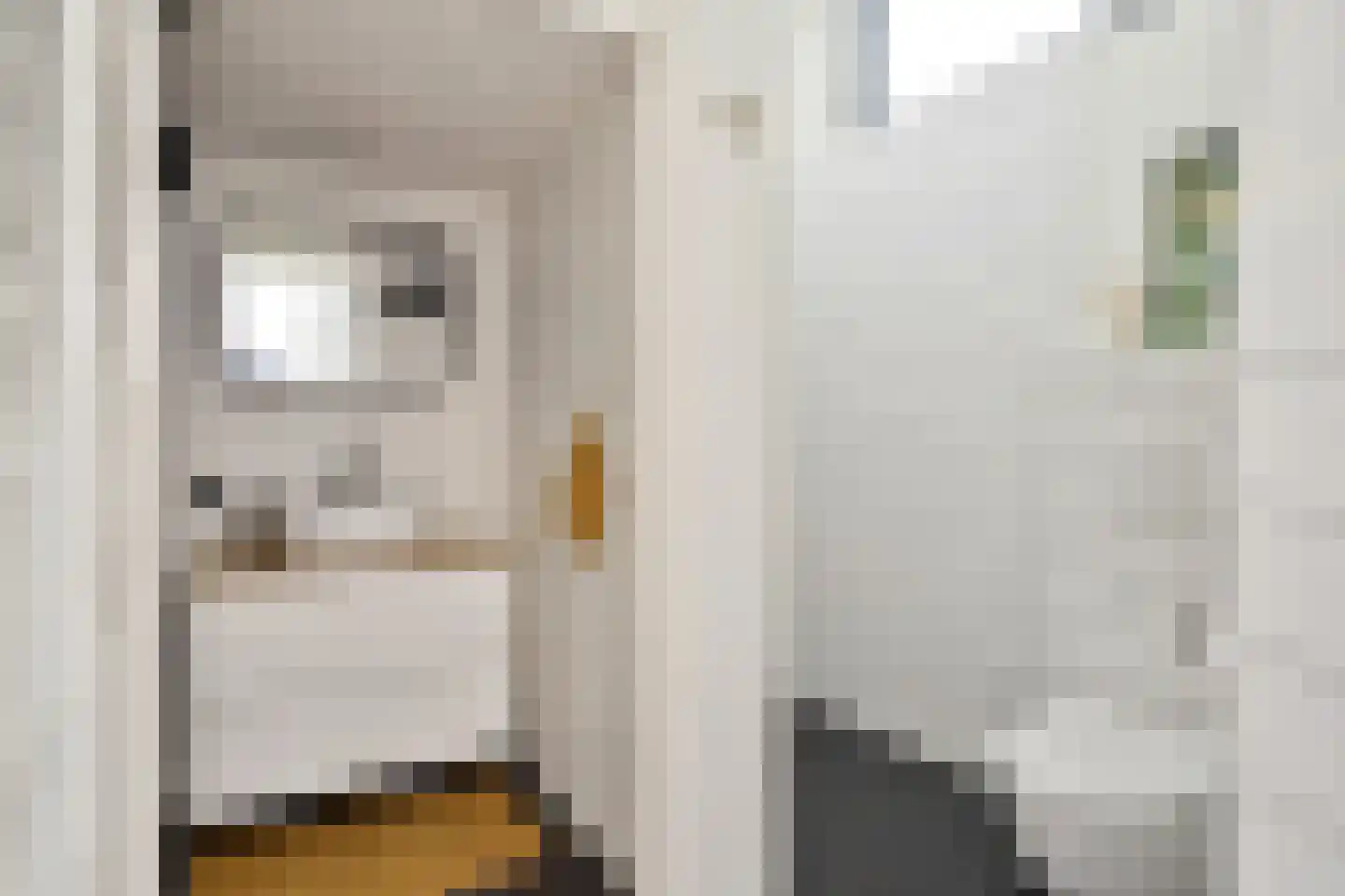 van Noremborghstraat 45 's-Hertogenbosch thumbnail 14