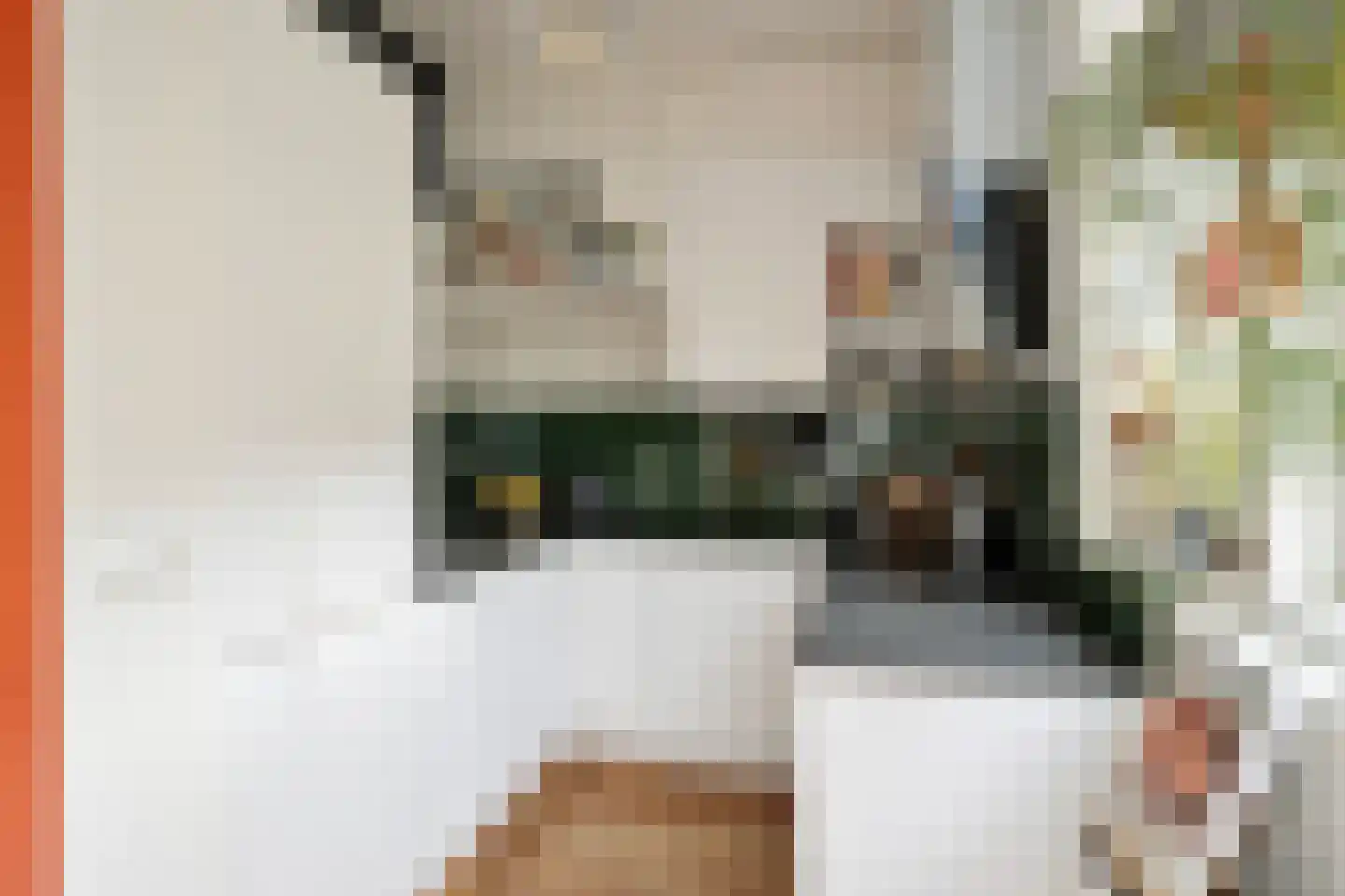 van Noremborghstraat 45 's-Hertogenbosch thumbnail 6