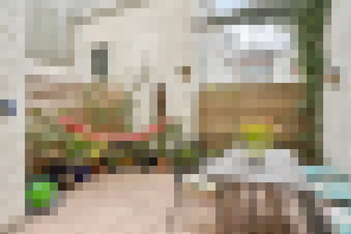 van Noremborghstraat 45 's-Hertogenbosch thumbnail 8