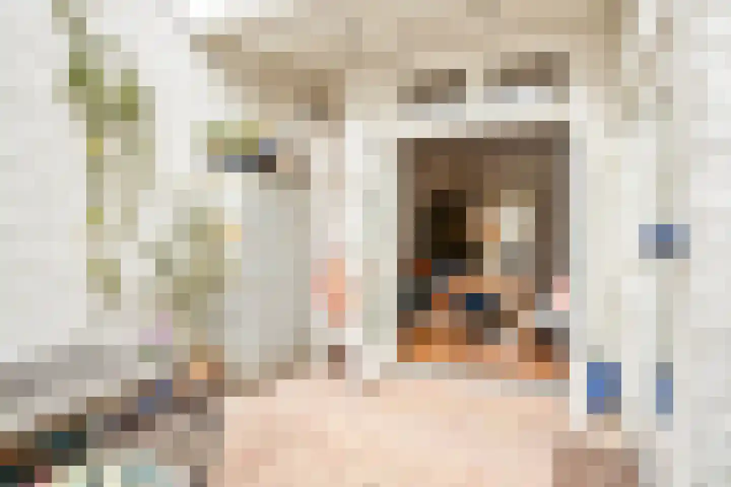 van Noremborghstraat 45 's-Hertogenbosch thumbnail 9