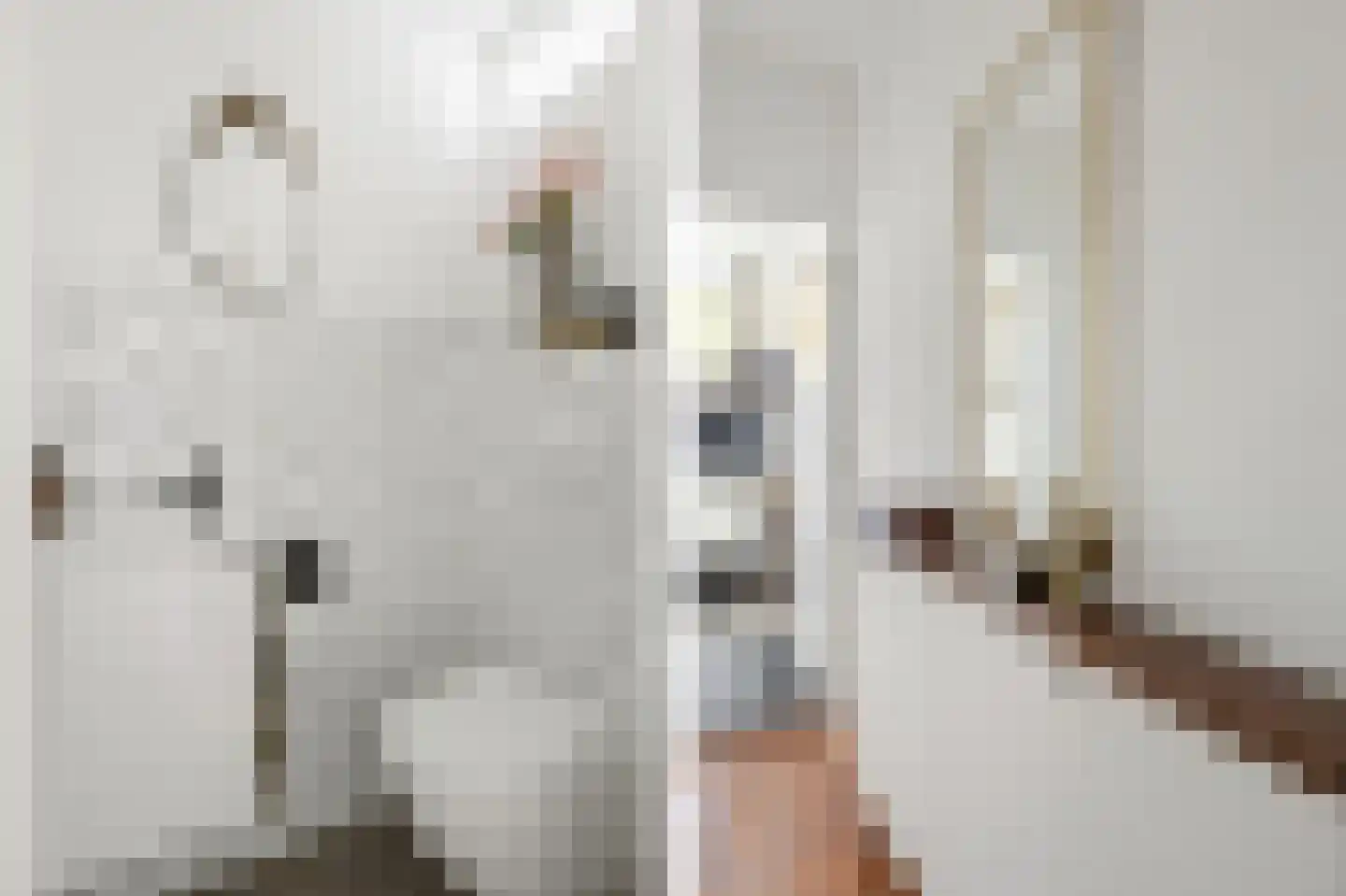 van Noremborghstraat 47 's-Hertogenbosch thumbnail 13
