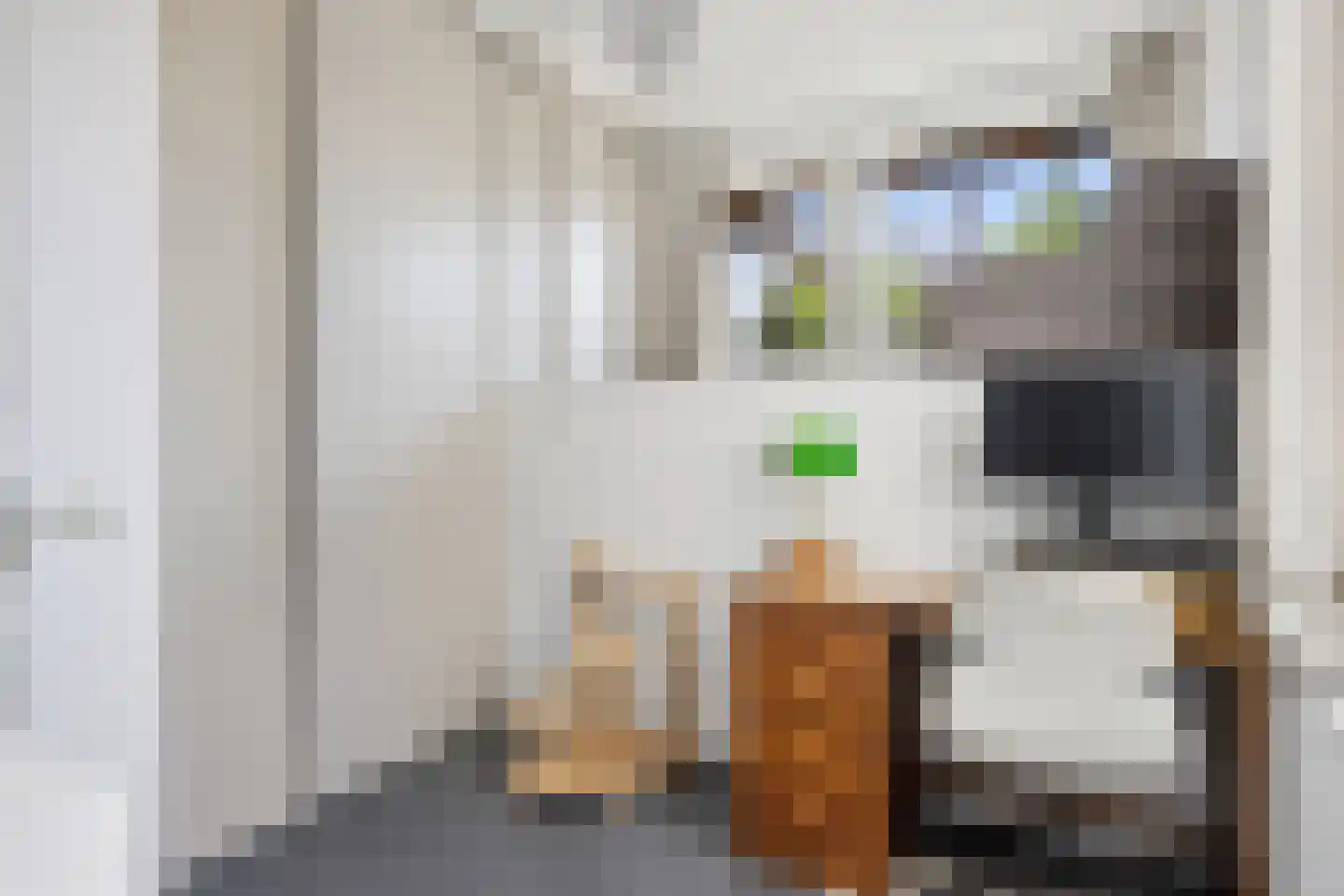 van Noremborghstraat 47 's-Hertogenbosch thumbnail 14