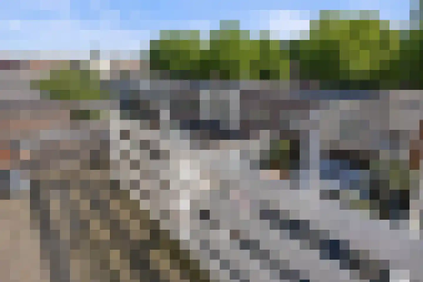 van Noremborghstraat 47 's-Hertogenbosch thumbnail 25