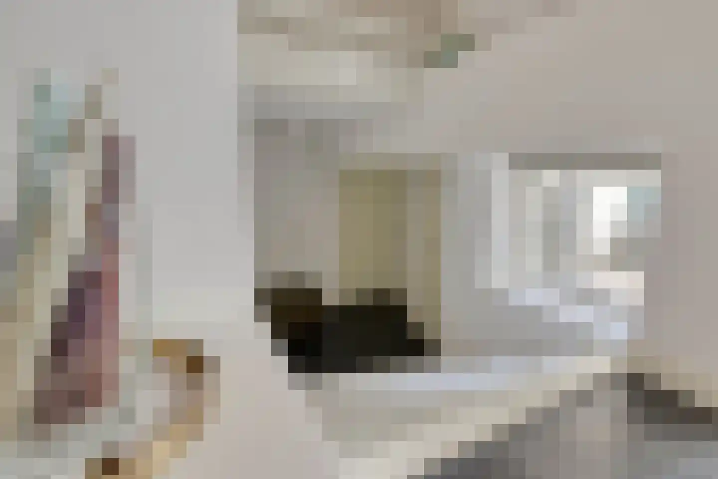 van Noremborghstraat 49 A 's-Hertogenbosch thumbnail 16