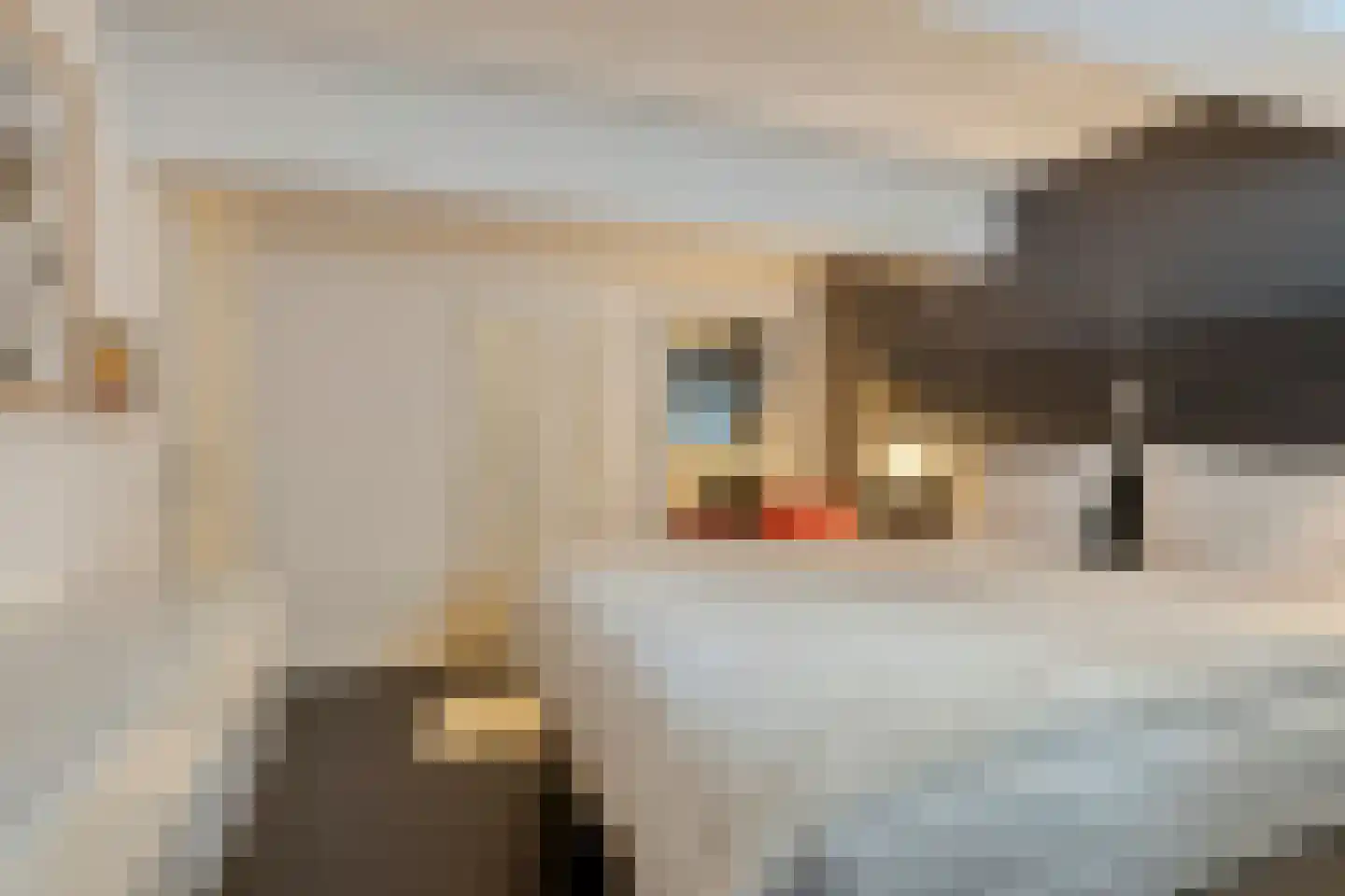 van Noremborghstraat 49 A 's-Hertogenbosch thumbnail 18