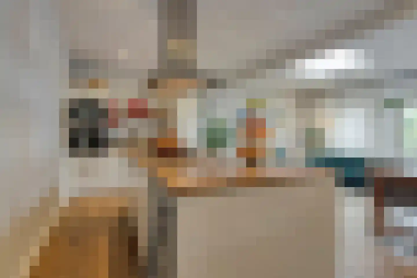 van Noremborghstraat 49 A 's-Hertogenbosch foto 2