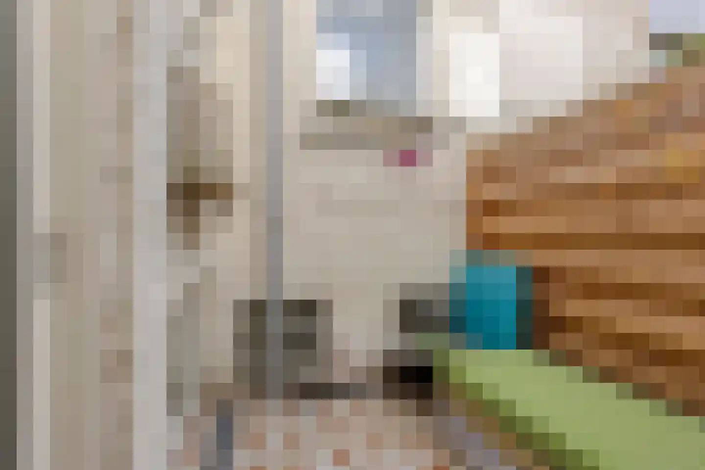 van Noremborghstraat 49 A 's-Hertogenbosch thumbnail 24