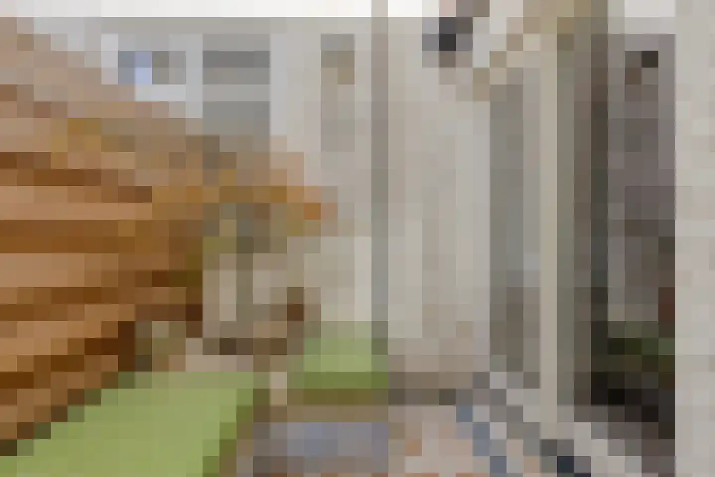van Noremborghstraat 49 A 's-Hertogenbosch thumbnail 25
