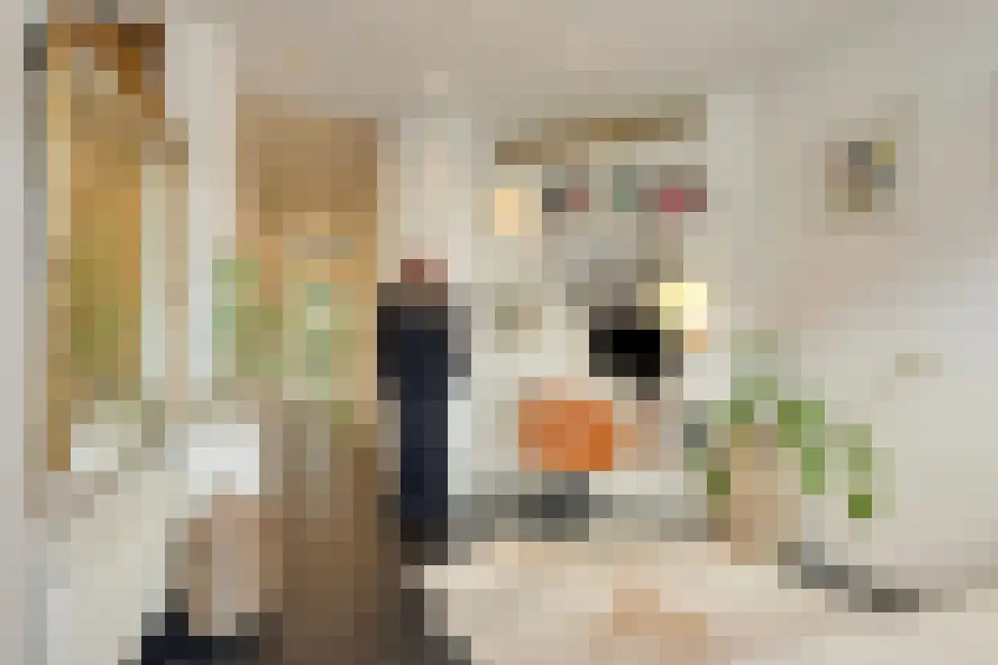 van Noremborghstraat 49 A 's-Hertogenbosch thumbnail 31